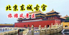 ‘美女操屌黄片中国北京-东城古宫旅游风景区